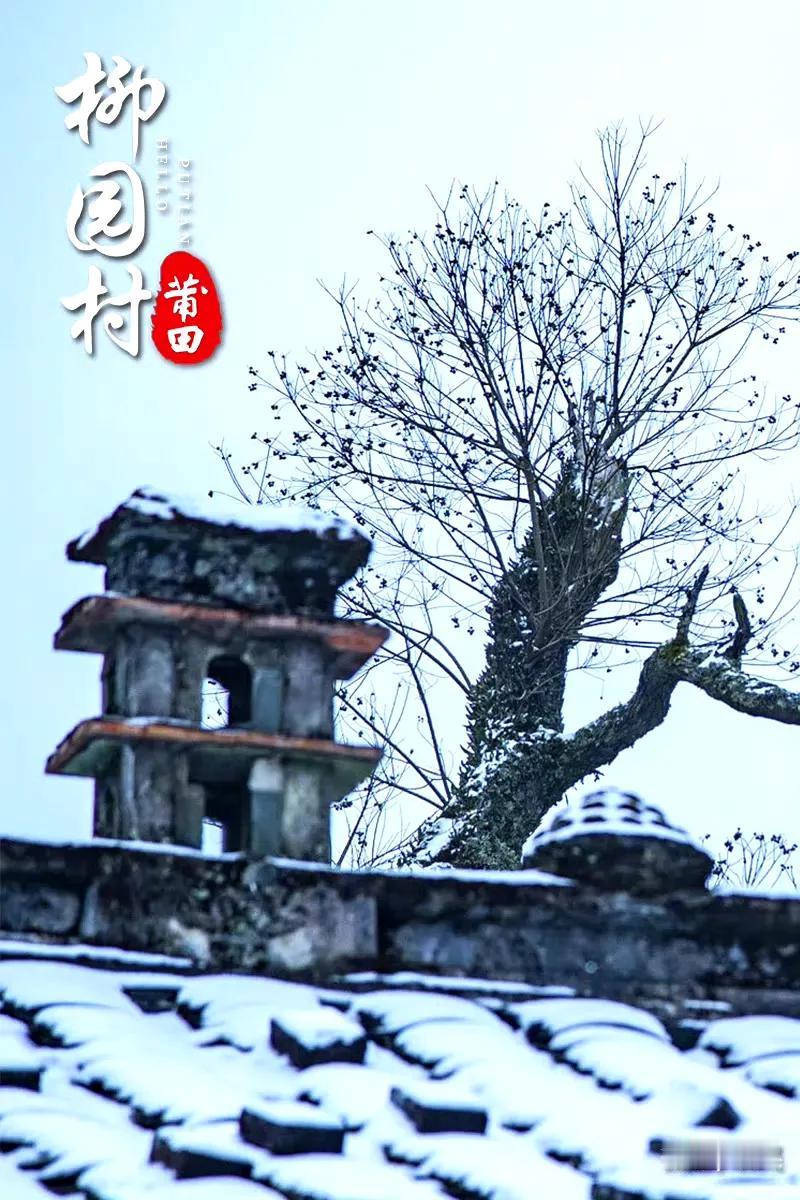 【莆田·柳园村】

山峦叠翠，屋舍俨然，柳园村坐落在海拔较高处。当冬季气温较低时