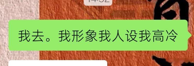 我发完疯清醒之后就这样 