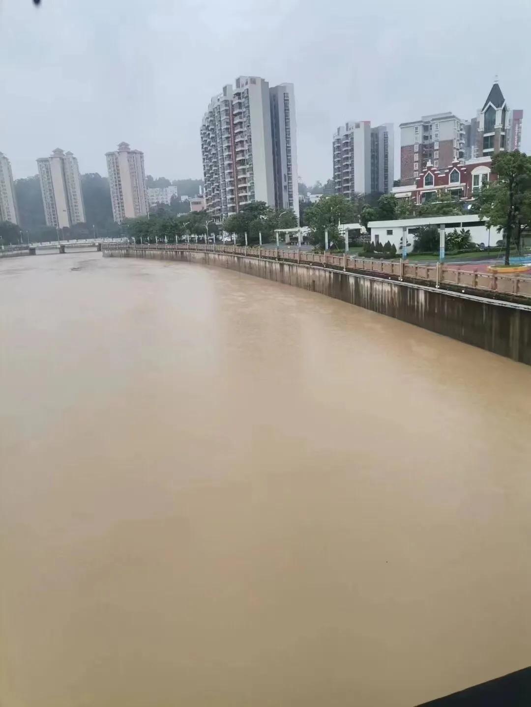 一觉醒来，外面还在下着大雨，朋友圈也全部被淹了，停工的停工，停课的停课，我依然要