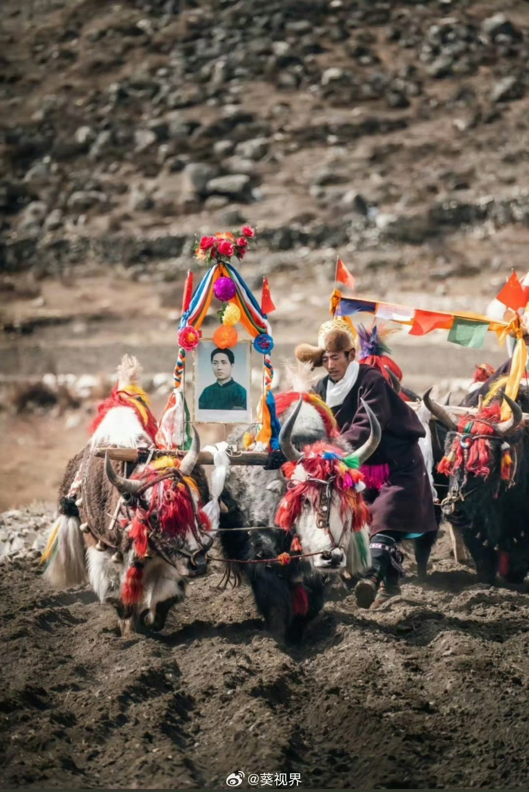 西藏一年一度春耕仪式。