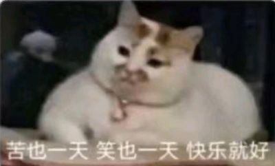 来说一说你们长期单身，不谈恋爱的原因吧 ​​​