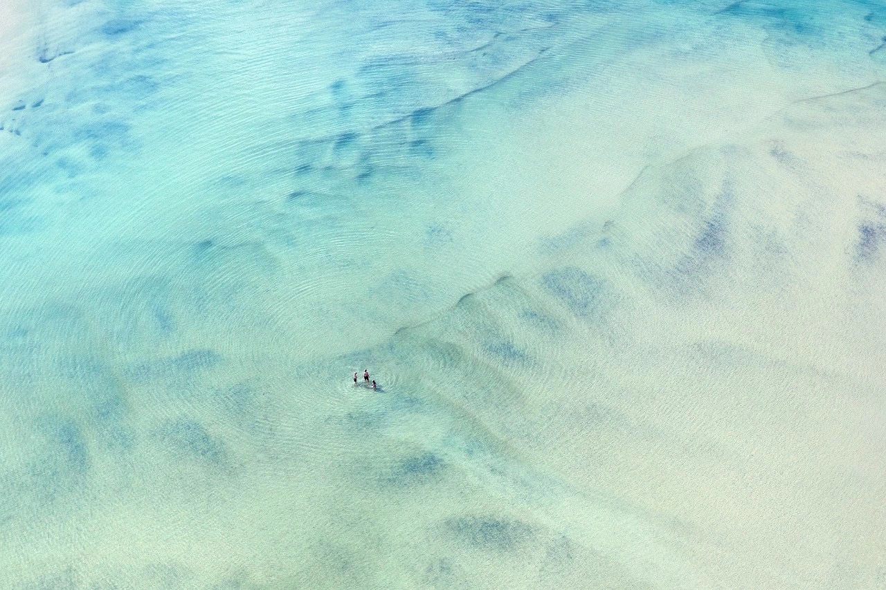 南非沉浸感受大自然狂野生命力🇿🇦｜Zack Seckler ​​​