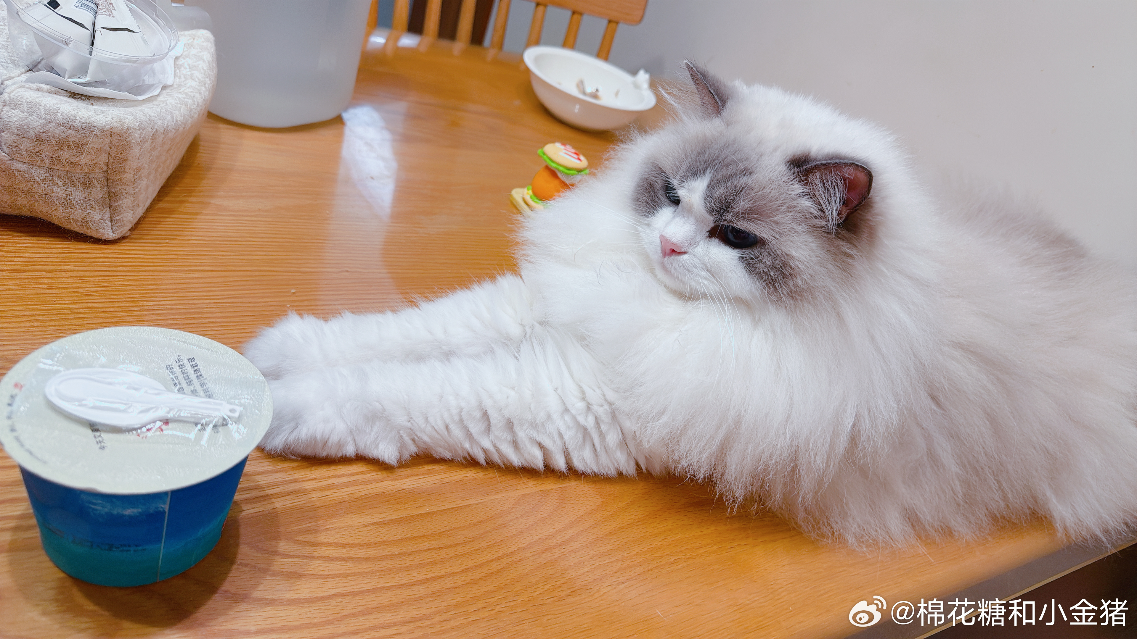 王总，您在H市的手是否伸得太长了？ 