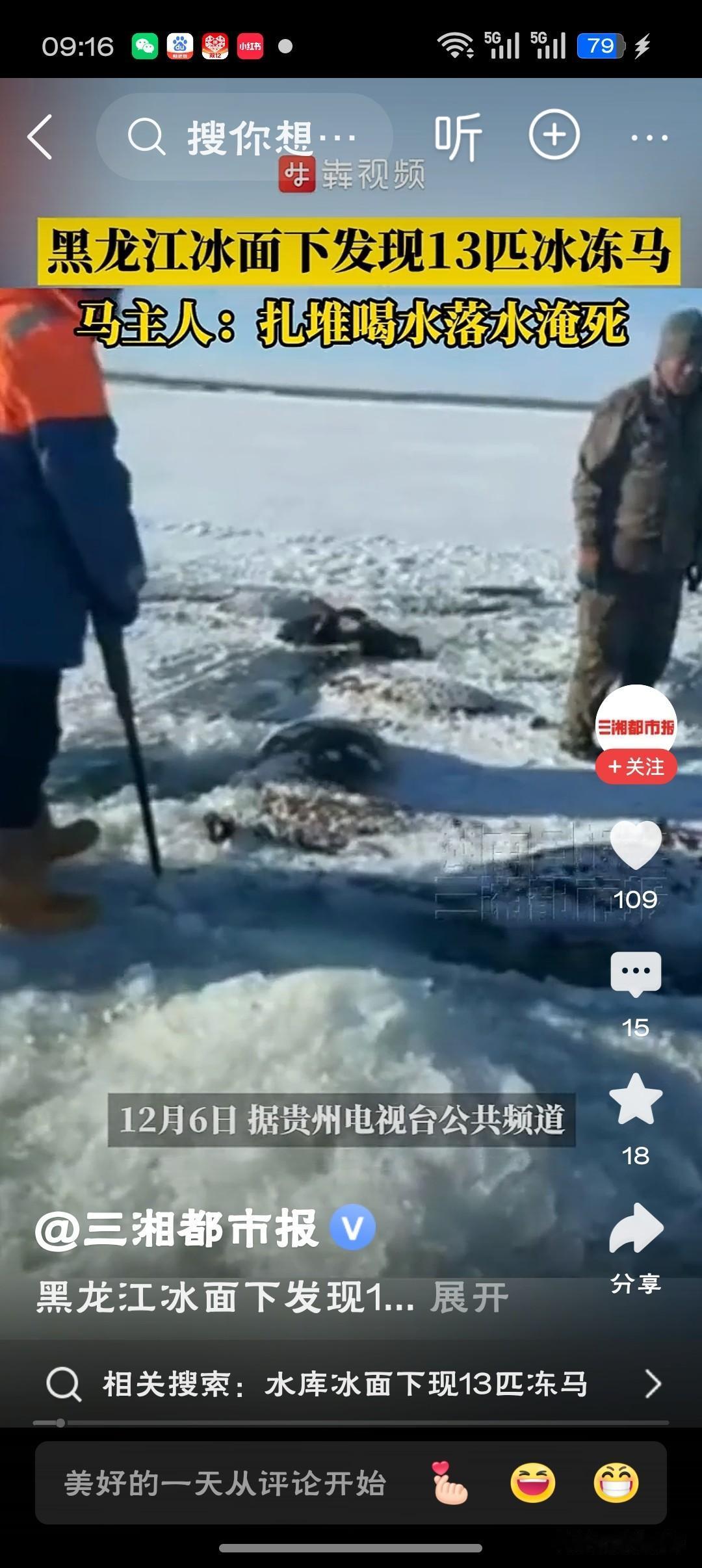 水库冰面下现13匹冻马冰窟吞噬的何止是十三匹骏马，更是七旬老人赖以生存的指望，极