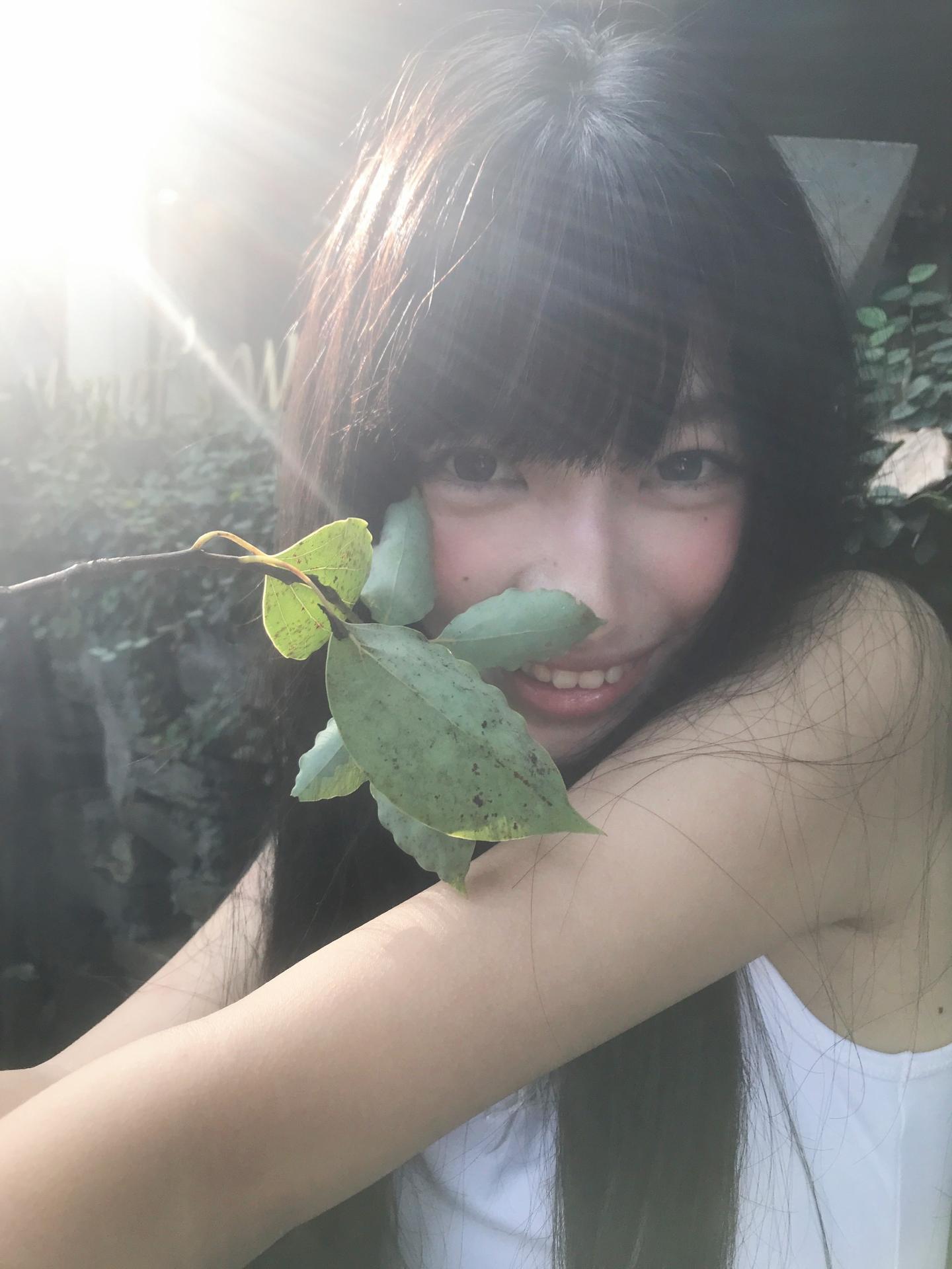🌿 ꕤ⋆⸝⸝森呼吸。