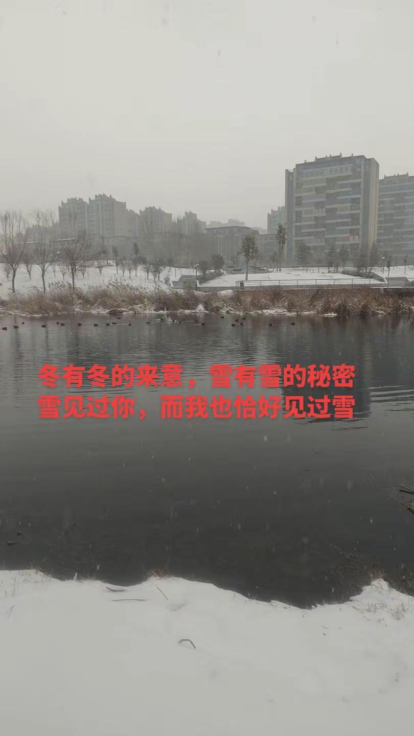 冬有冬的来意，雪有雪的秘密，每一片飘落的雪花，都是冬天给的见面礼。