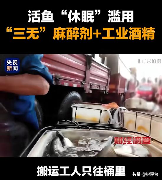 😱央视曝光！活鱼竟被强行“灌麻药”，看似鲜活，背后全是毒套路！
买活鱼就图个新