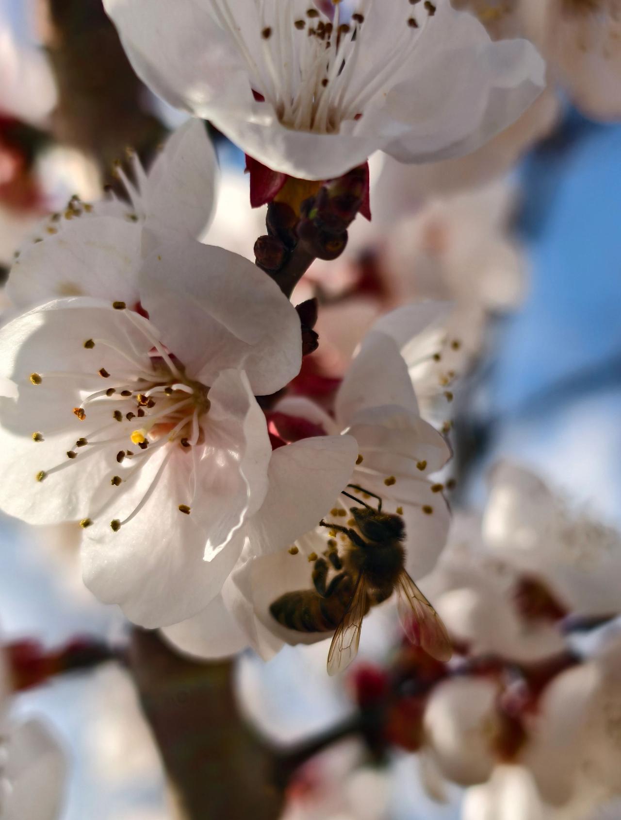 阳光从来不语，温暖了世界，花儿从来不言，却芬芳了人间，光阴不言不语，走过春夏秋冬