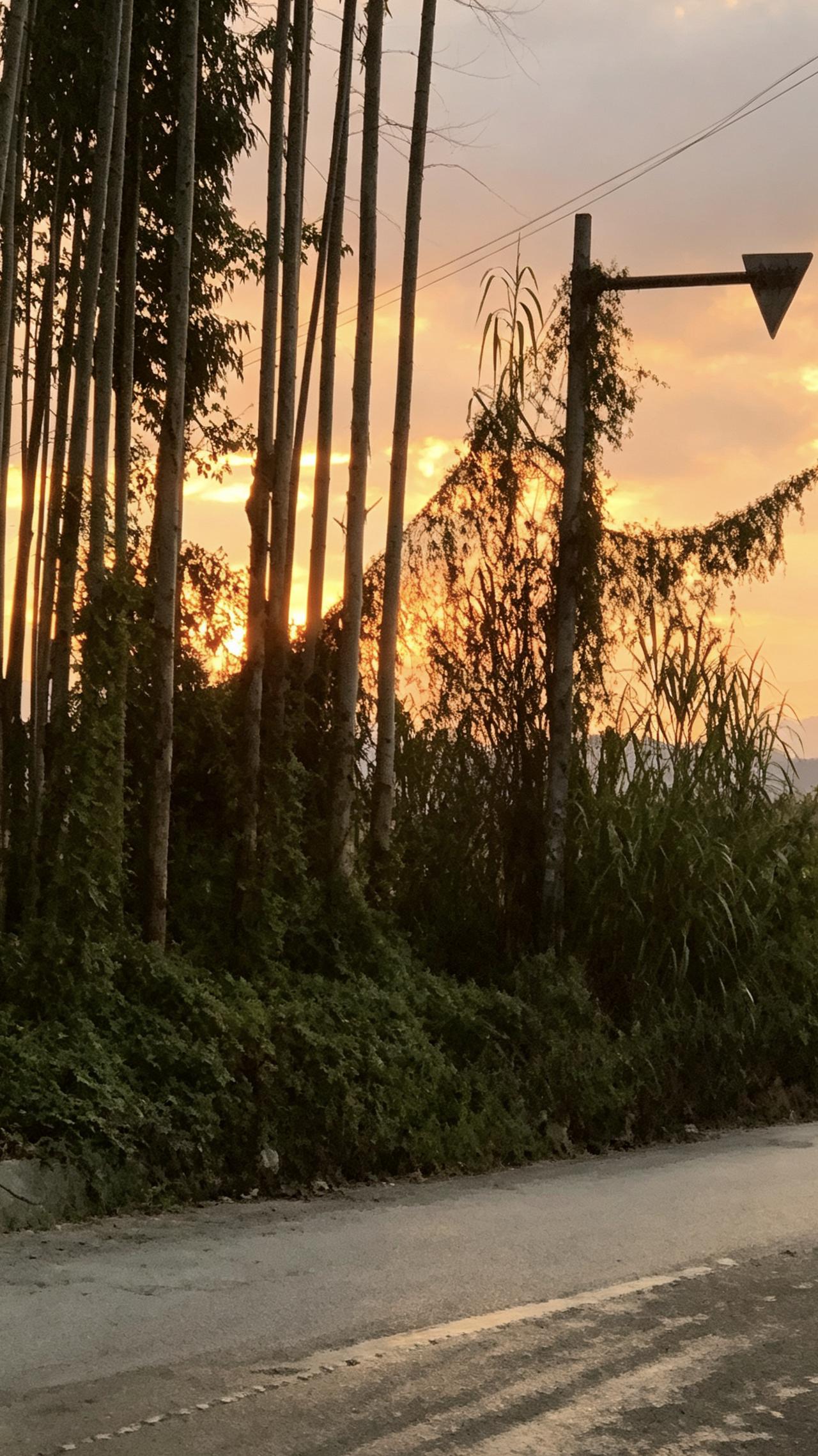 一位饱经风霜的长者说：
“如果一个人年纪不小却显得很幼稚，那八成是他没求过人。​