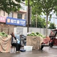 当地西瓜下来了，超市卖9毛9一斤。

我们厂坐落在南山脚下，去市区要过几个村庄，
