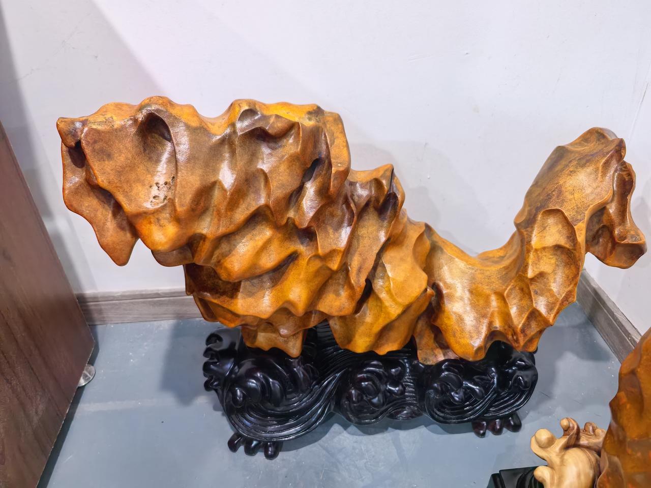 哈巴狗 与北丹石狗