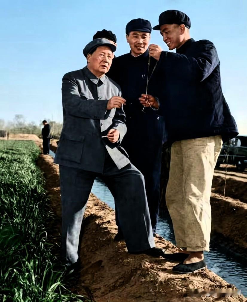 画面中的毛主席一只脚站在田埂上、一只脚踩在泥土中，与地方同志亲切交谈，他重调查、