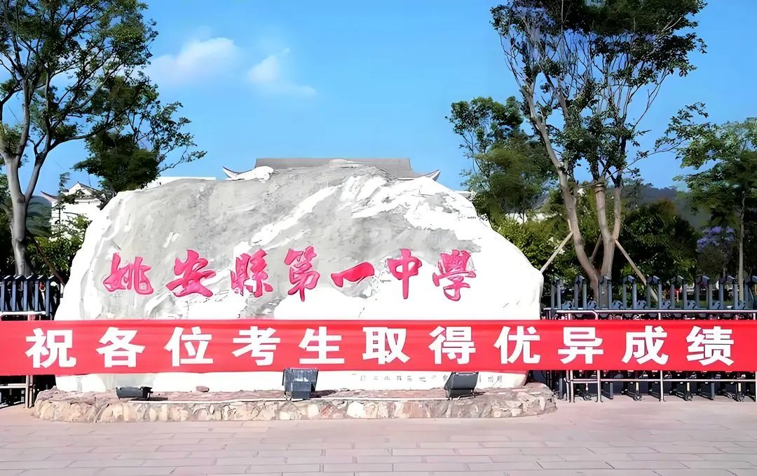 云南姚安一中教师跳楼后续！他是被彪悍女同事杨红娟等人逼迫所致 