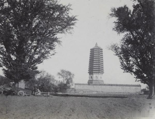 八里庄塔和银杏树，北京，1919年11月19日 ​​​