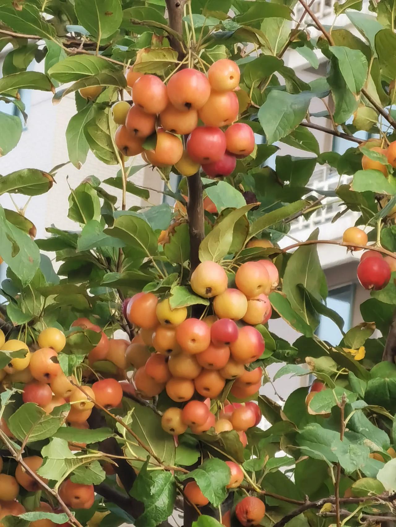 增光添彩[微笑]