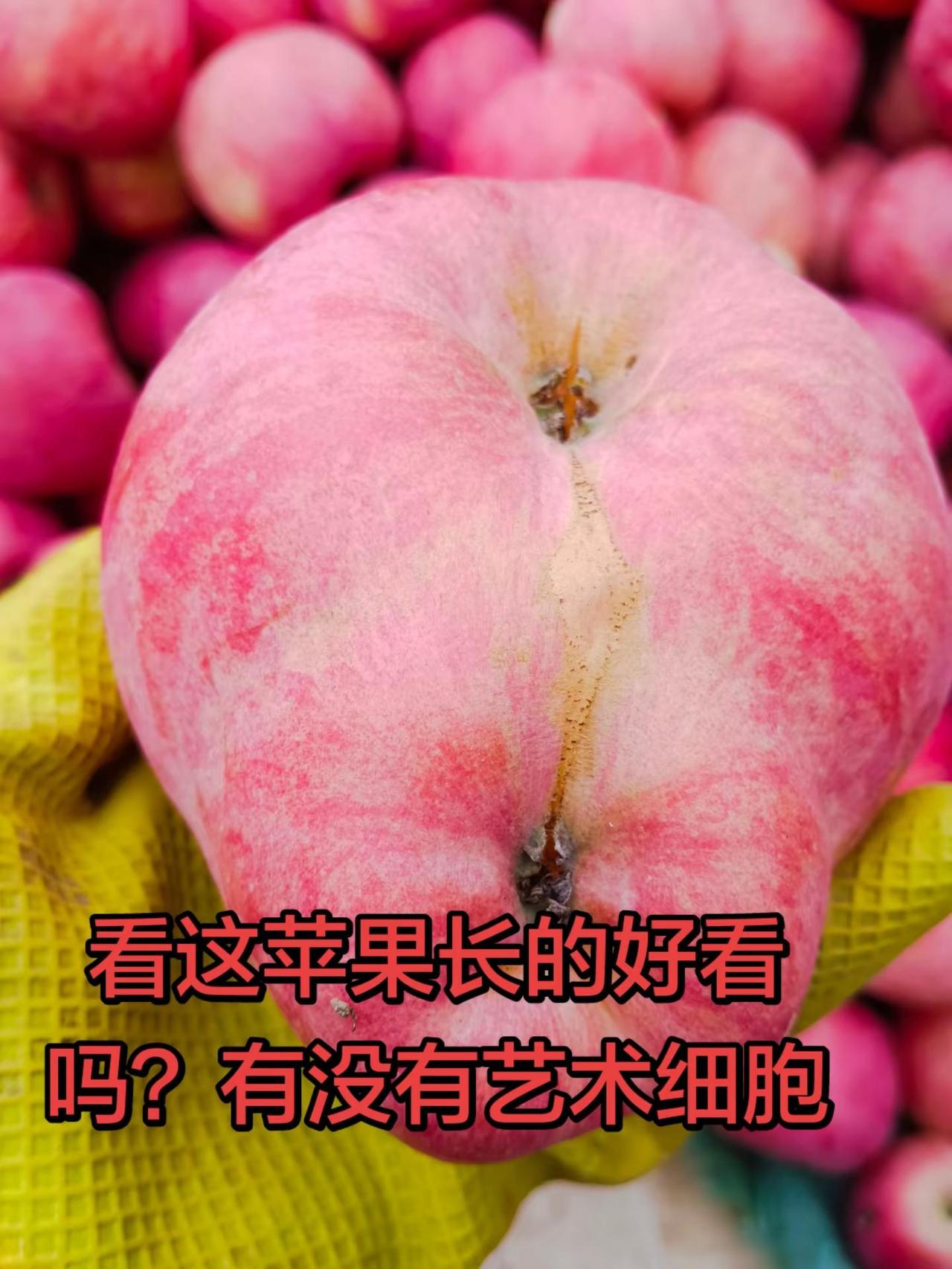 火山拍作品分10万 被苹果惊艳到了