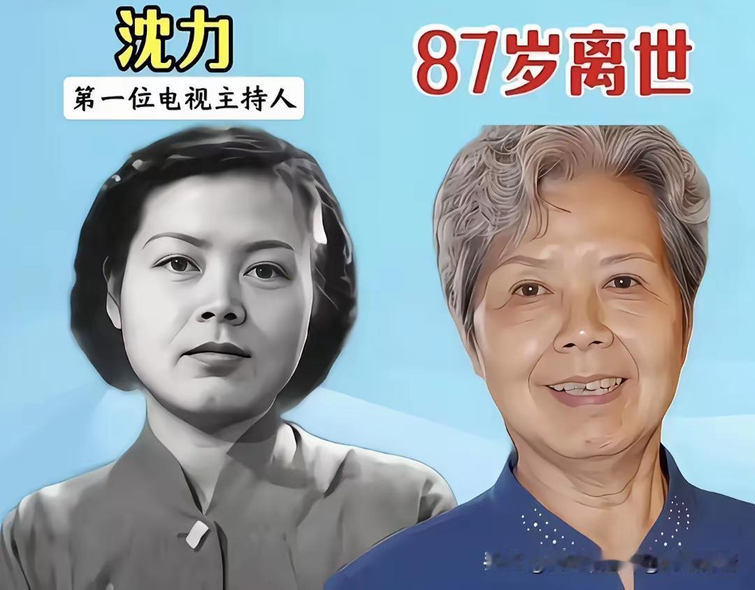 王铎：一代电视节目主持人的一生经历