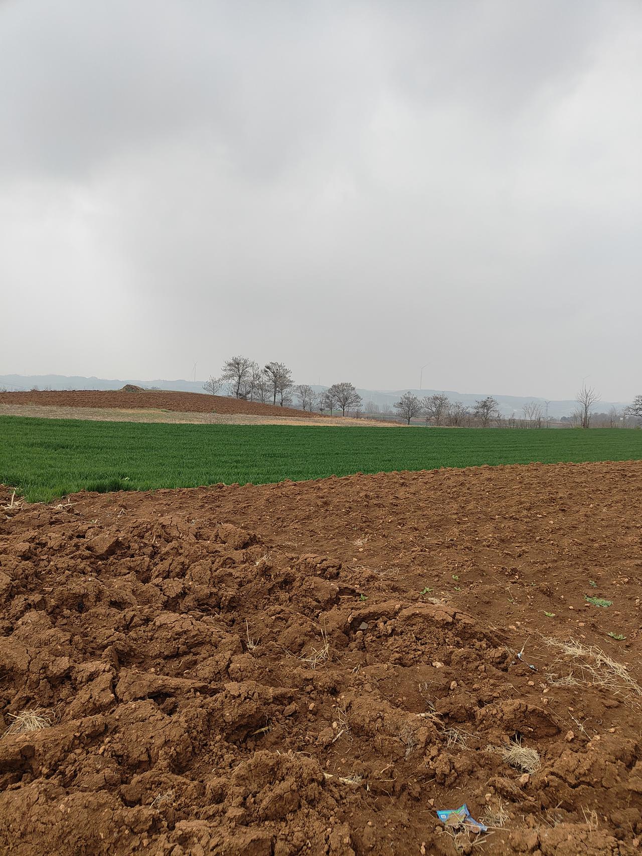 今年春天最想实现的心愿让春风带来2026年喜韵，马到功成，一路驰骋！