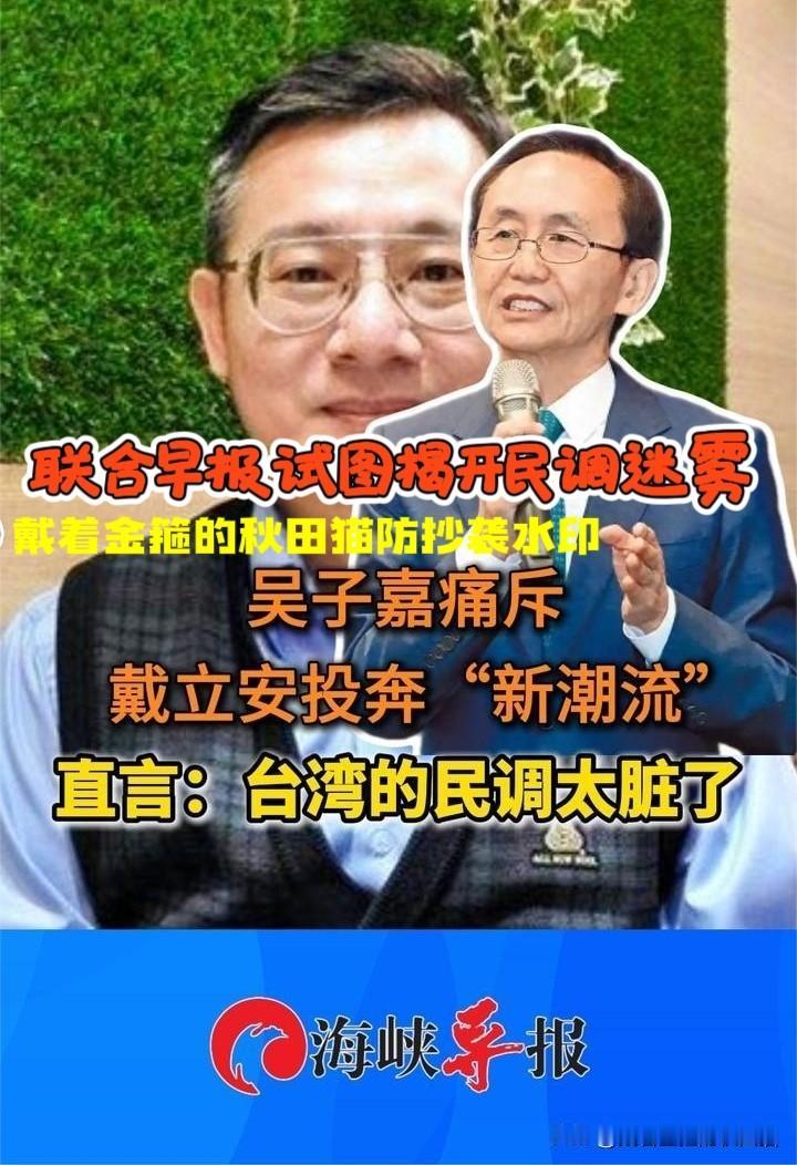 吴子嘉戴立安为何拆伙？
联合早报刊发深度分析：民调迷雾，不过是一场“生意”与“专