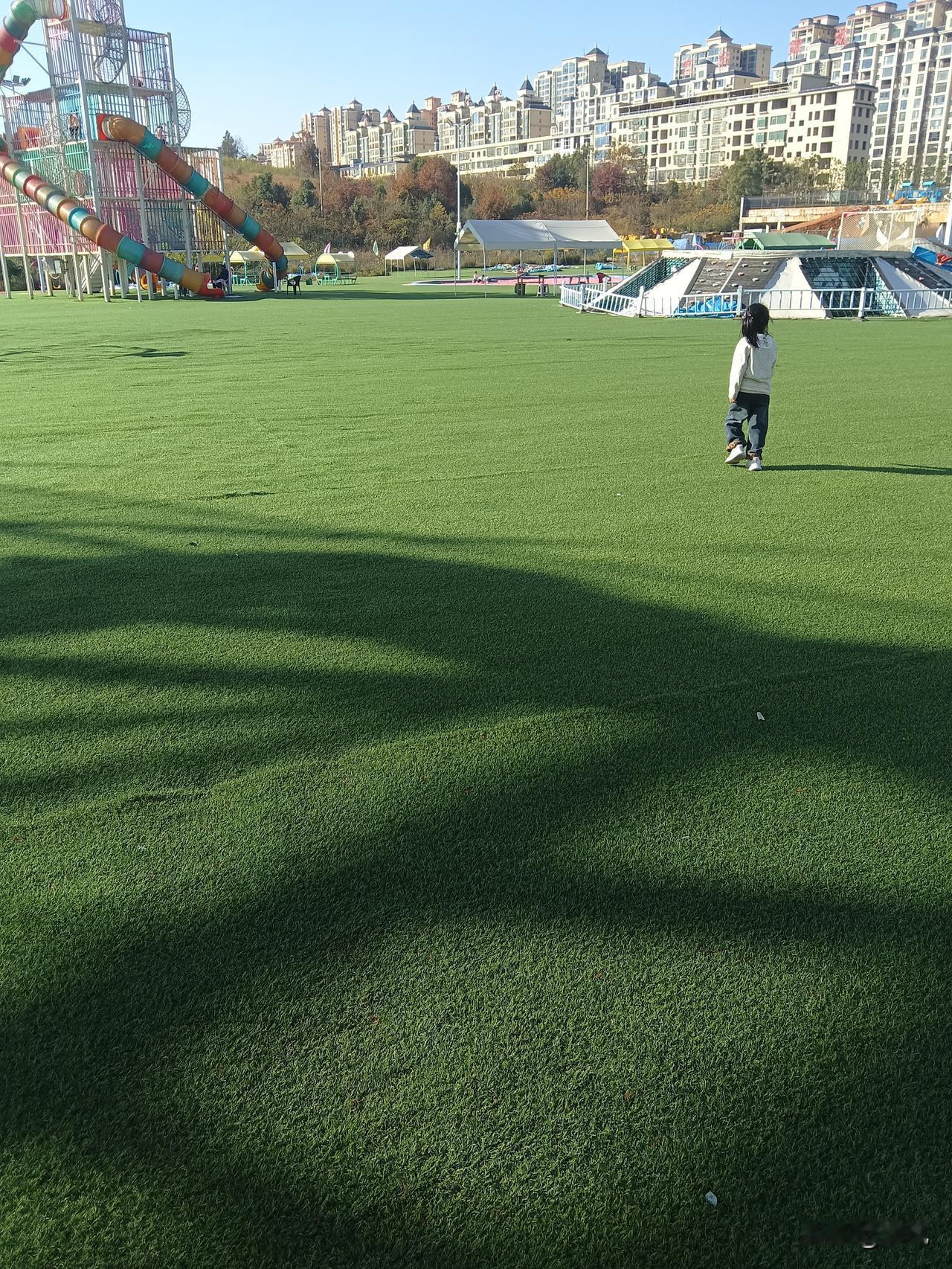 致2026的自己：踏实向前，不负时光
 
翻着日历感慨，转眼就要迈向2026，此