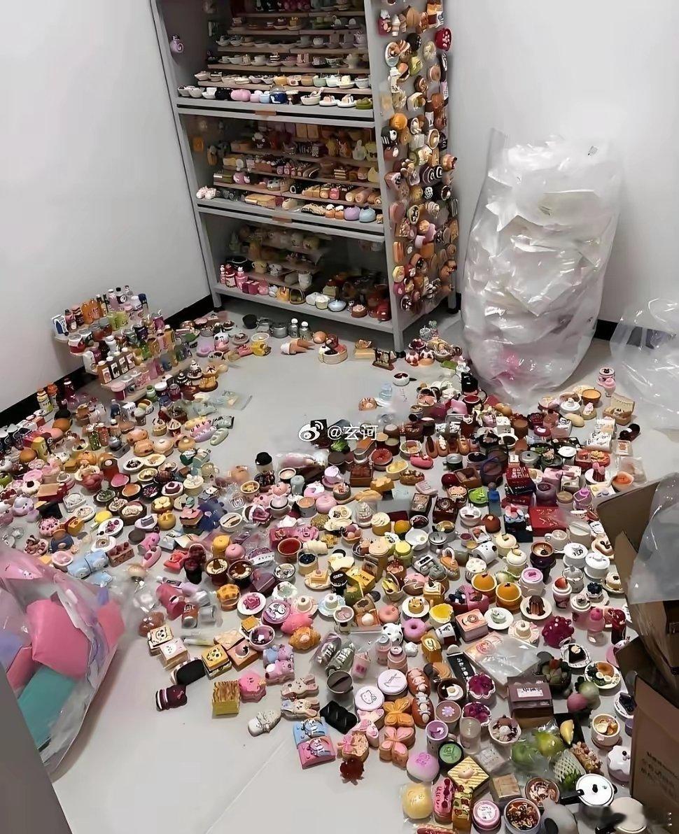 租客退房后留下的，直接把人看懵了。这到底是啥？