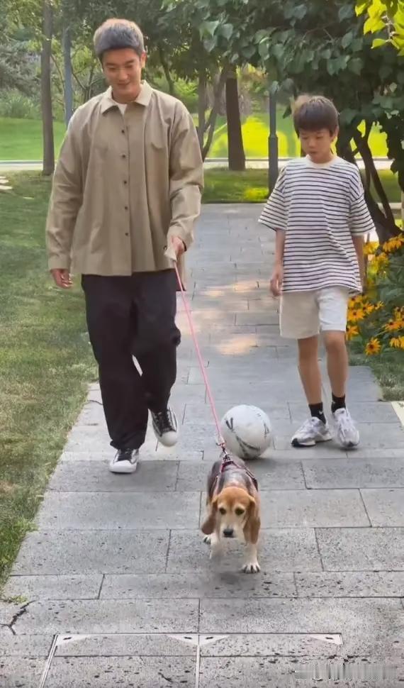 杜江和霍思燕救下来的实验犬，肉眼可见得开心了，他们夫妻一定对它很好！ ​​​