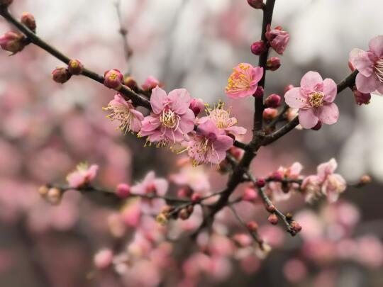 昨日（3月3日）晚上8点，全球首批第4例、通过脑脊接口让瘫痪者重新行走...