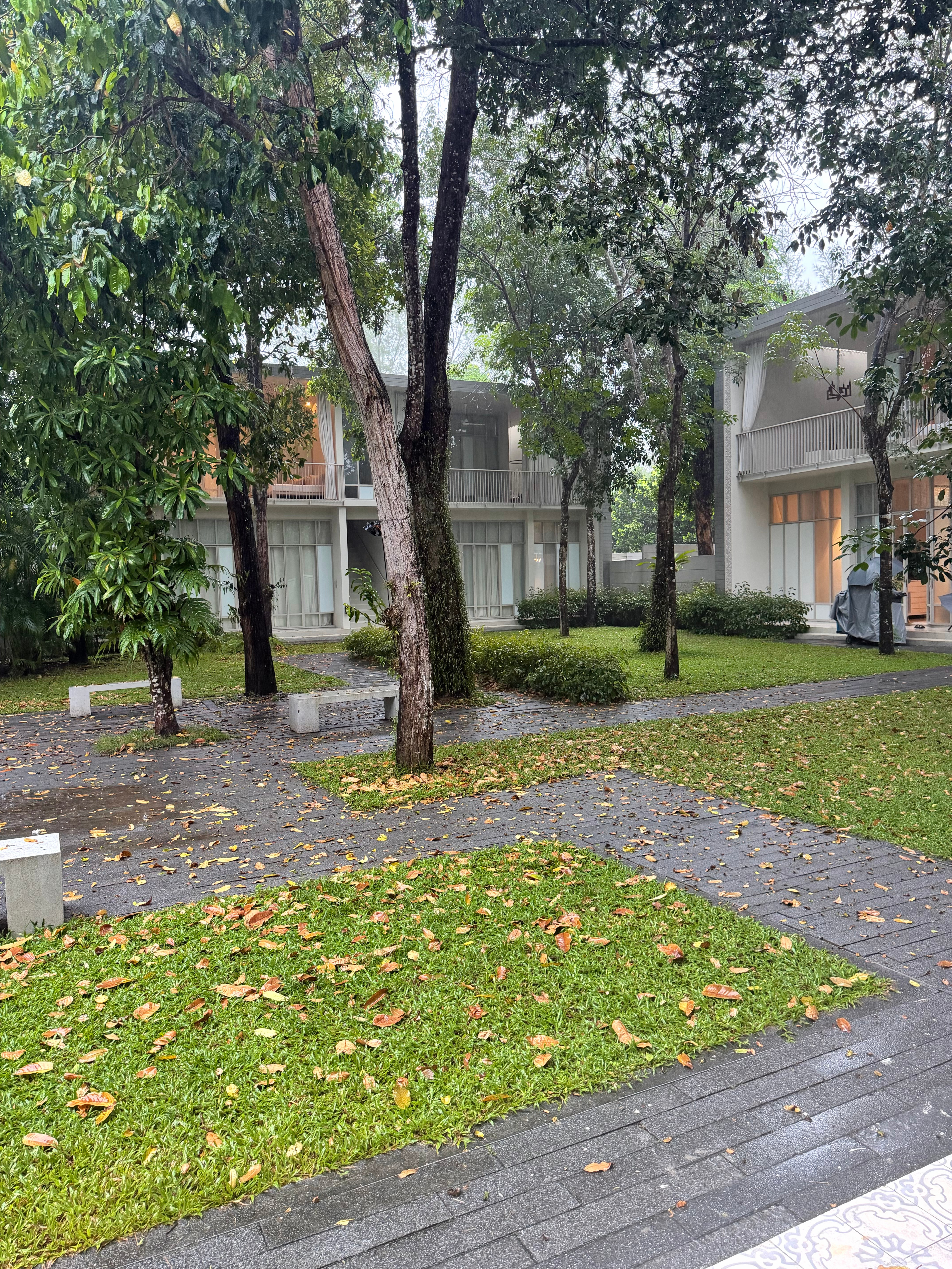 来泰国这么多次第一次碰上这么雨的雨季完全没招了 感觉自己是雨神来的 离开杭州 杭