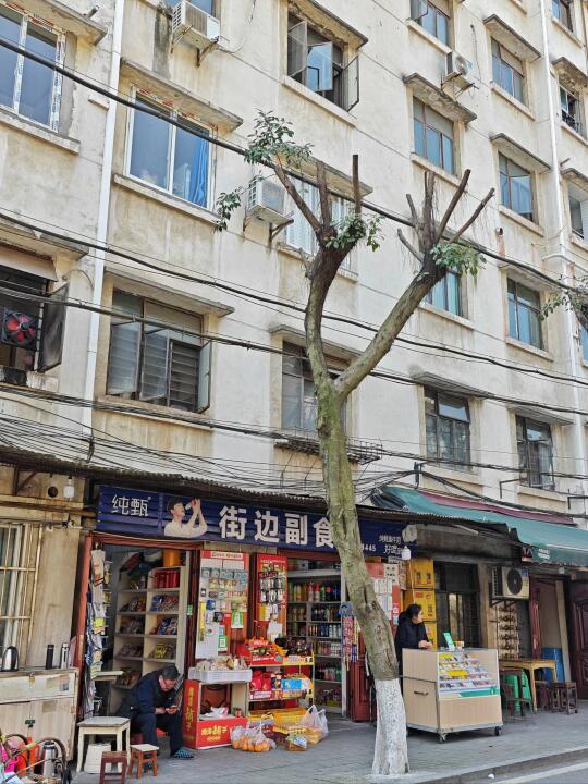 岁月静好的红阳厂家属区(citywalk337)