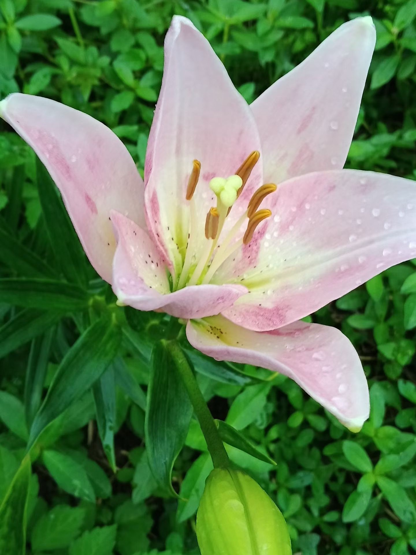 不喜欢夏天 