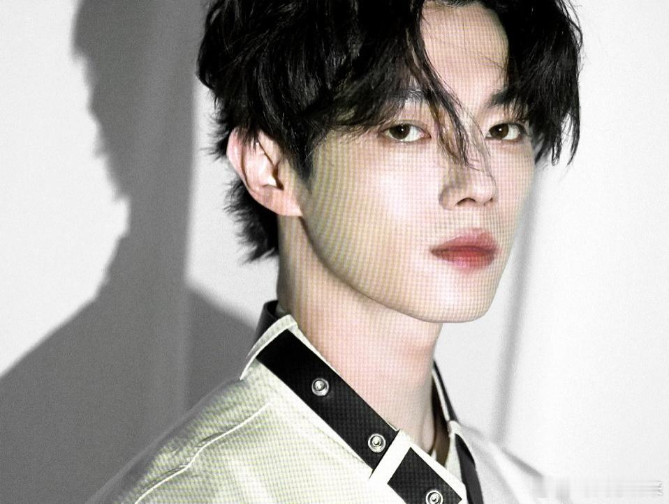 卷毛soso好像德文猫。。。 