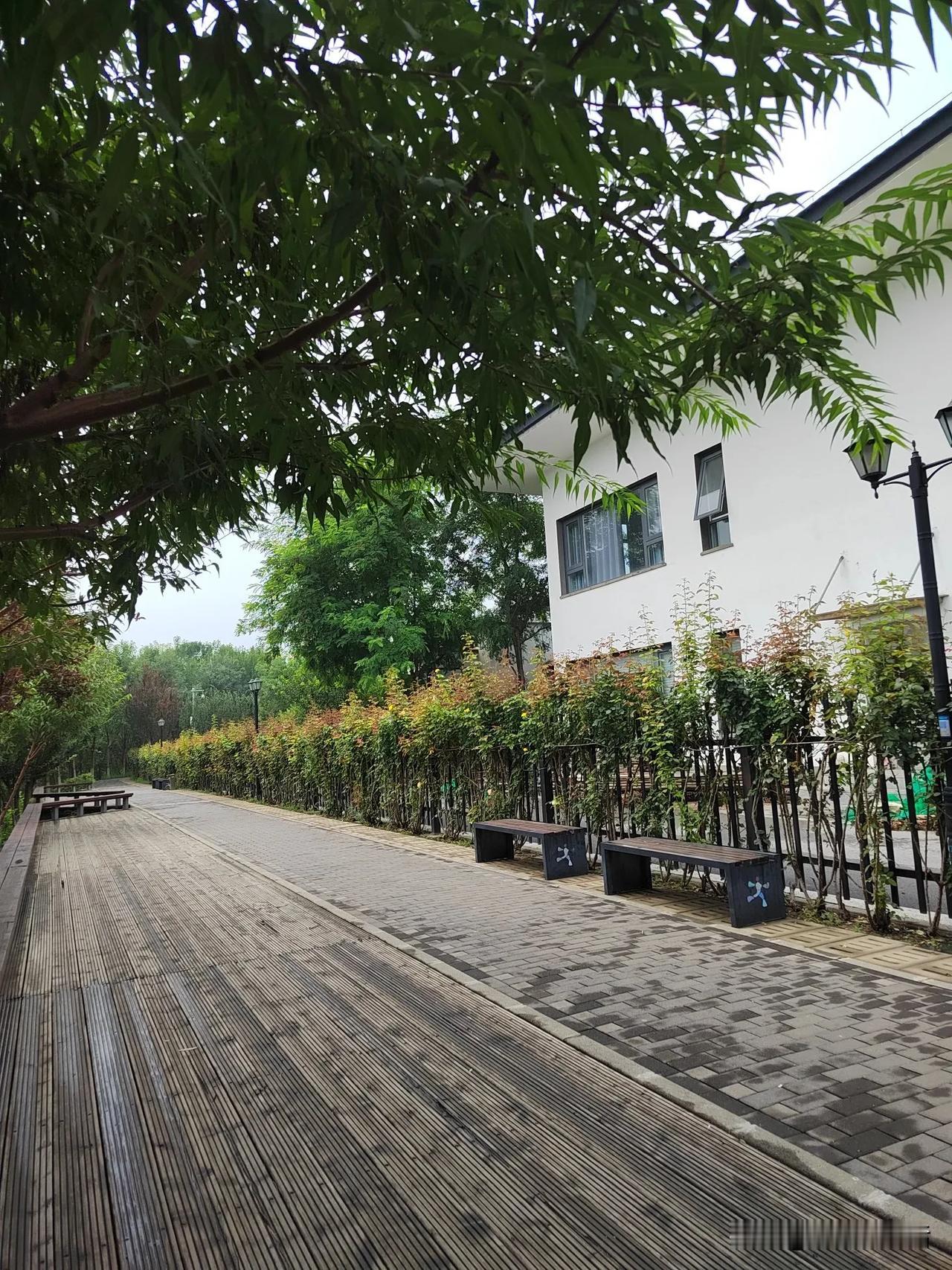 夏日生活打卡季平淡的走着，简单的活着，风来听风，雨来听雨，人生百味，随缘就好。