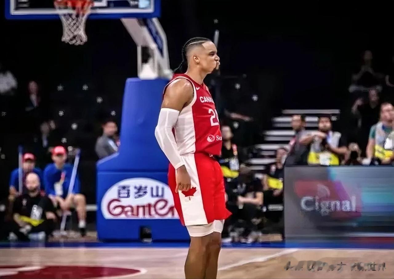 #NBA预言# 
北京时间9月11日NBA火箭队新援后卫狄龙.布鲁克斯率领加拿大