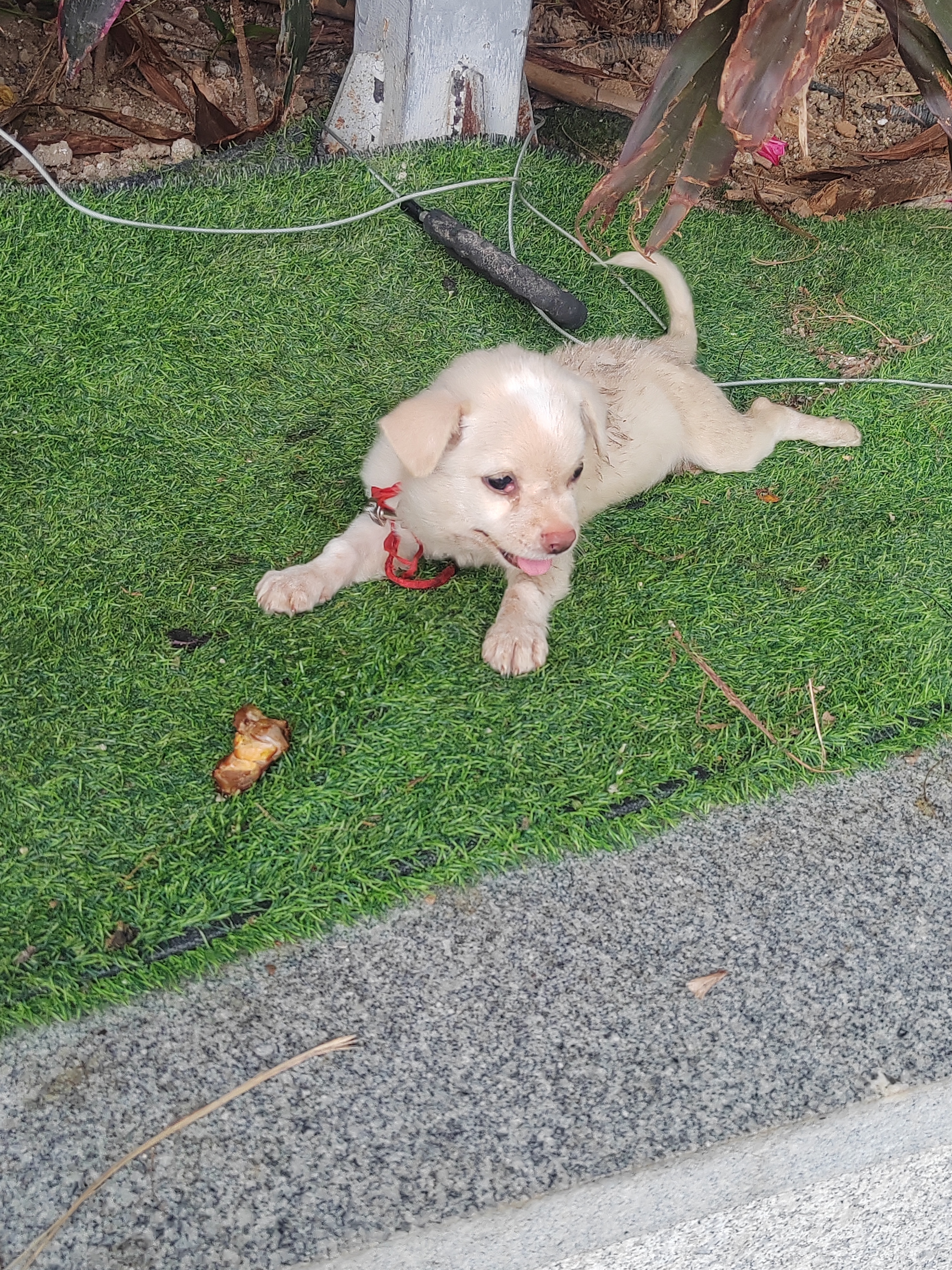 小宝宝我要早知道出门能碰上你我就带零食了