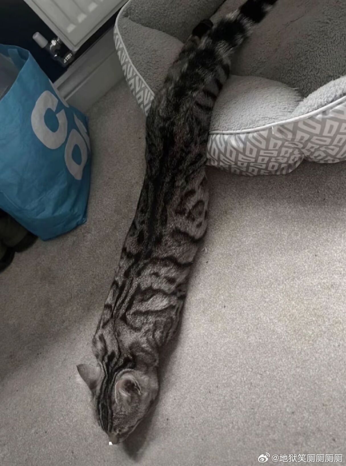 1604沙发多间隙，注意防蛇！ 