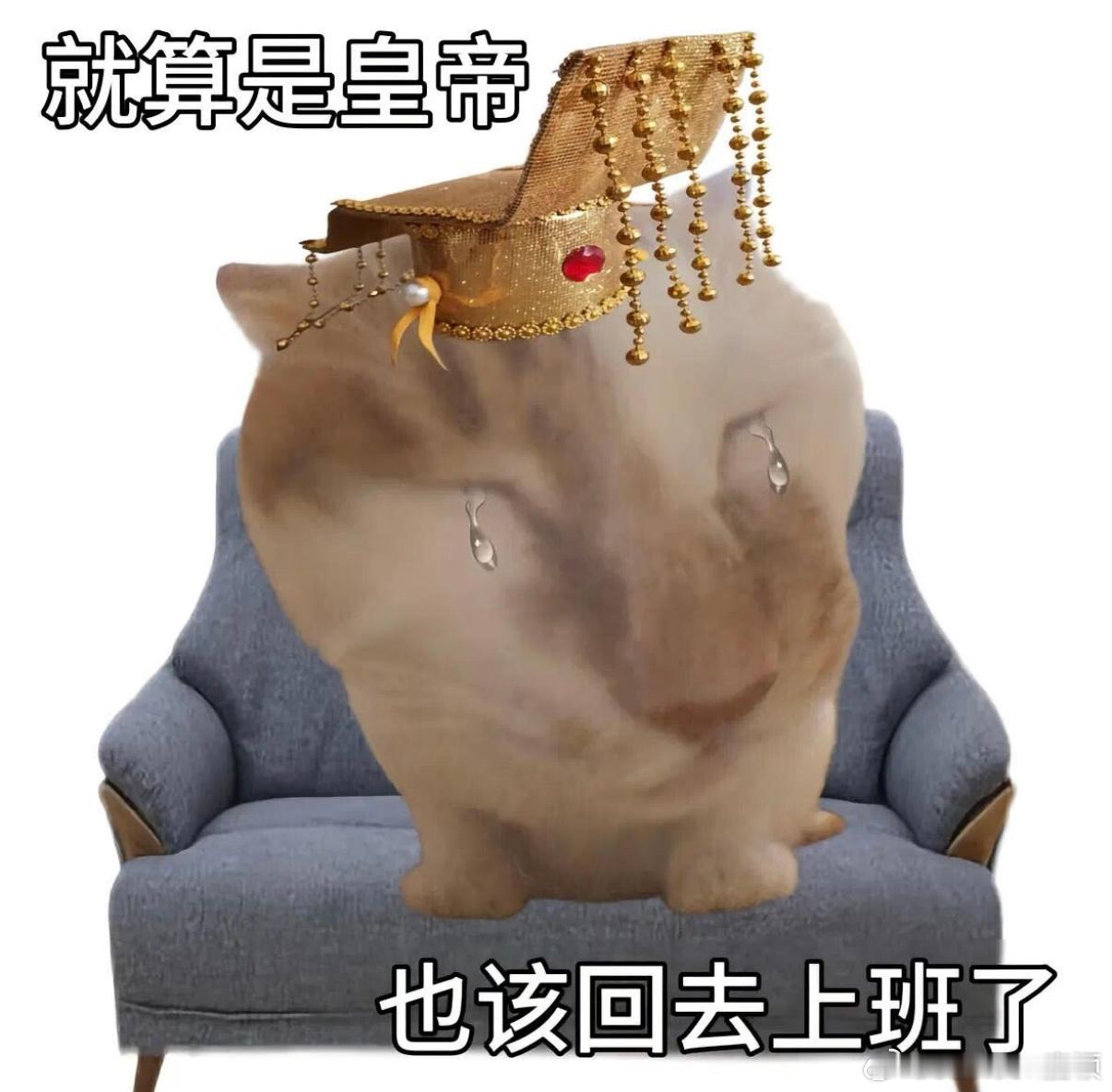 到公司了 上海·上海通用汽车新行政楼
