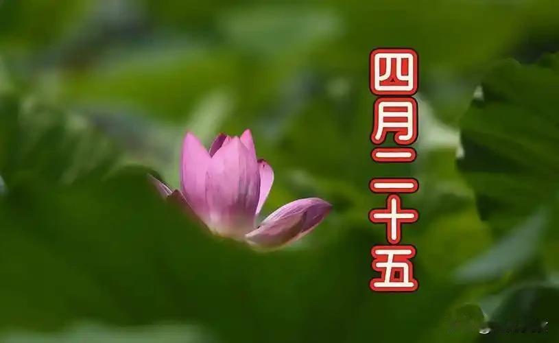 不是迷信！明日四月二十五，记得：1不留，2不回，3不吃，别大意
农历四月二十五正