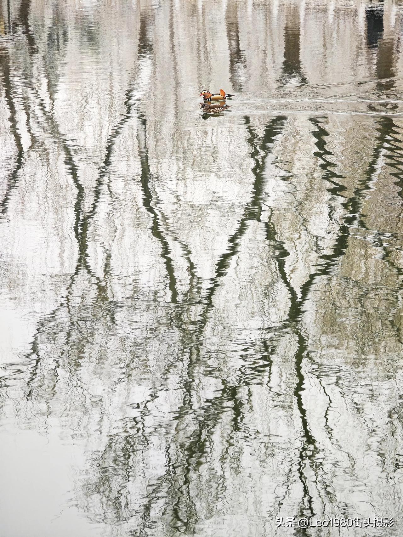 3月4日到5日，北京迎来降雪。雪后的北京，那些小地方散发着独特魅力。
今晨，国子