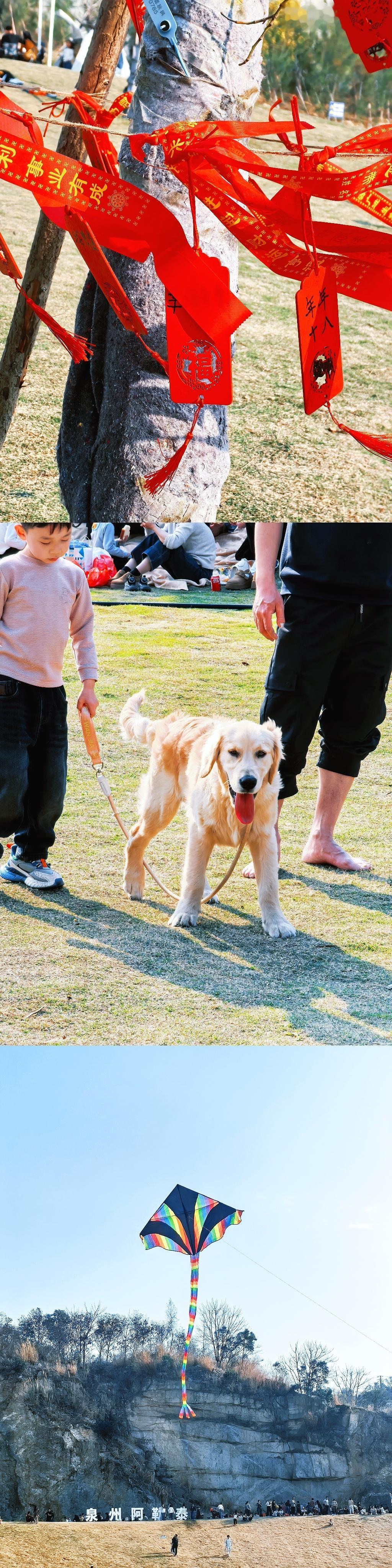 ⛰️哀人[音乐] 