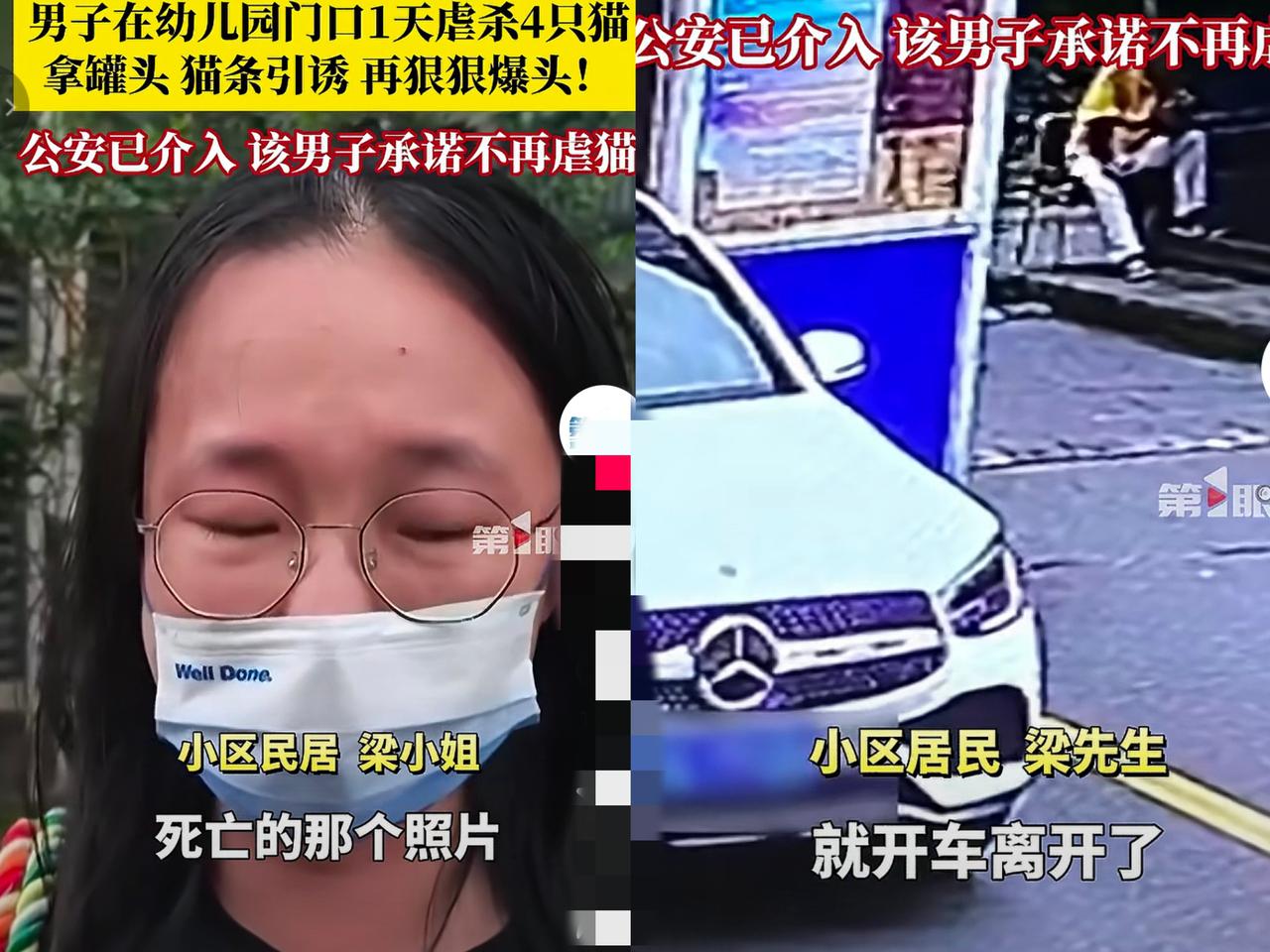 惊！幼儿园门口虐猫狂魔一天虐杀4只猫，用罐头猫条引诱后踩爆猫头，这不是残忍是泯灭