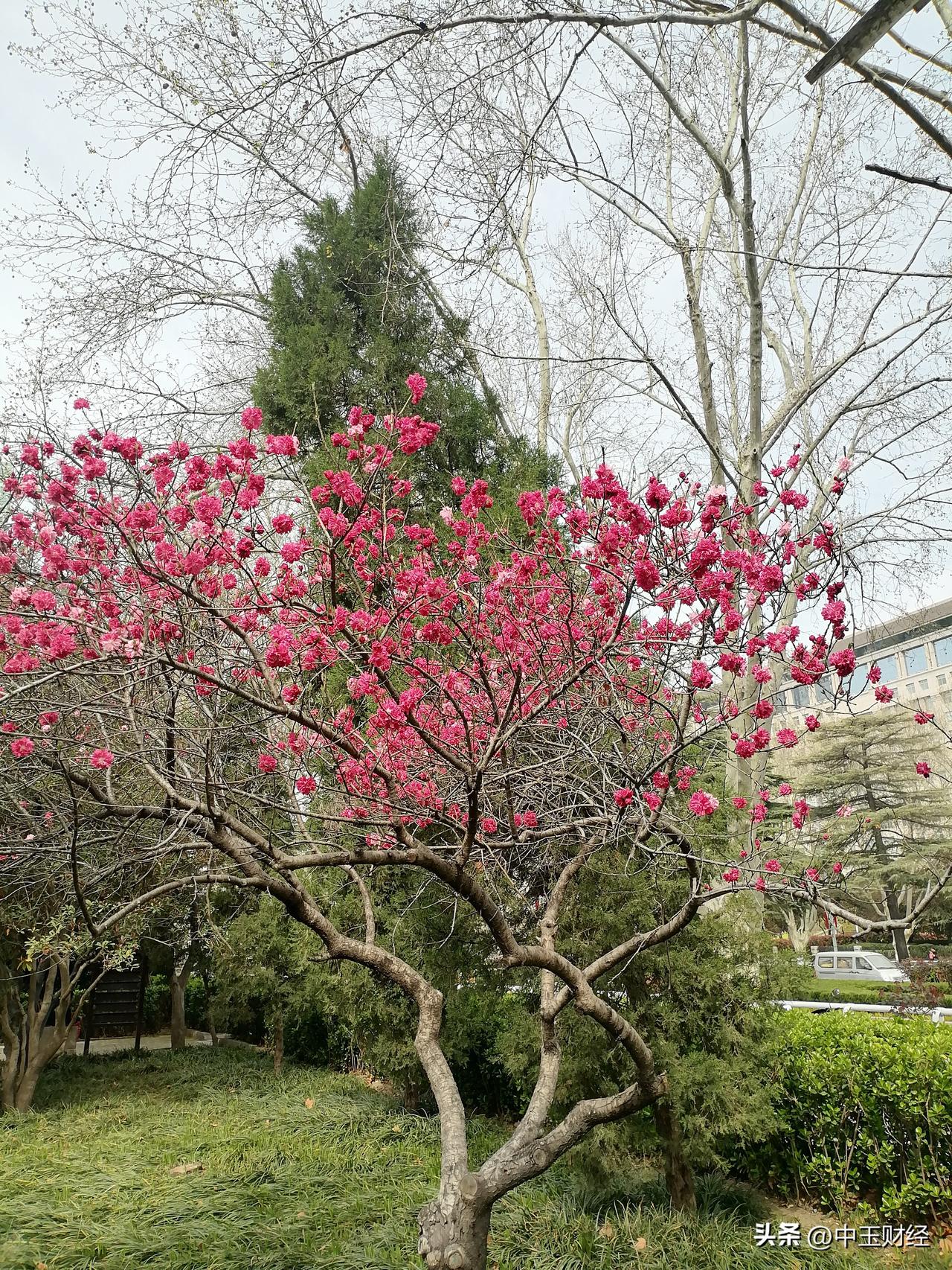 今年春天最想实现的心愿生活美满，万事顺遂，最想实现的心愿就是，财富与健康更加美好
