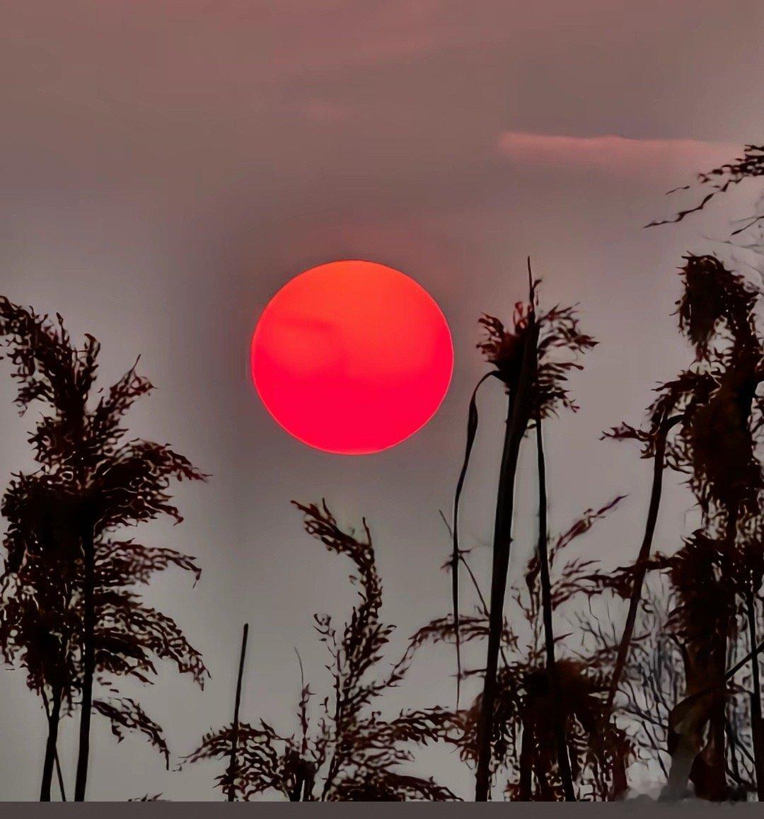 精卫衔微木，将以填沧海。刑天舞干戚，猛志固常在。同物既无虑，化去不复悔。徒设在昔