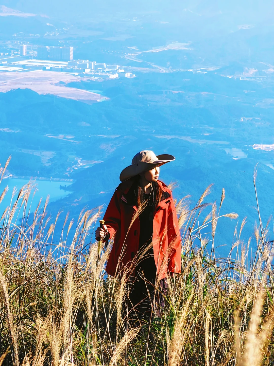 美到失语❗️总于来看大南山的金色芦苇荡了