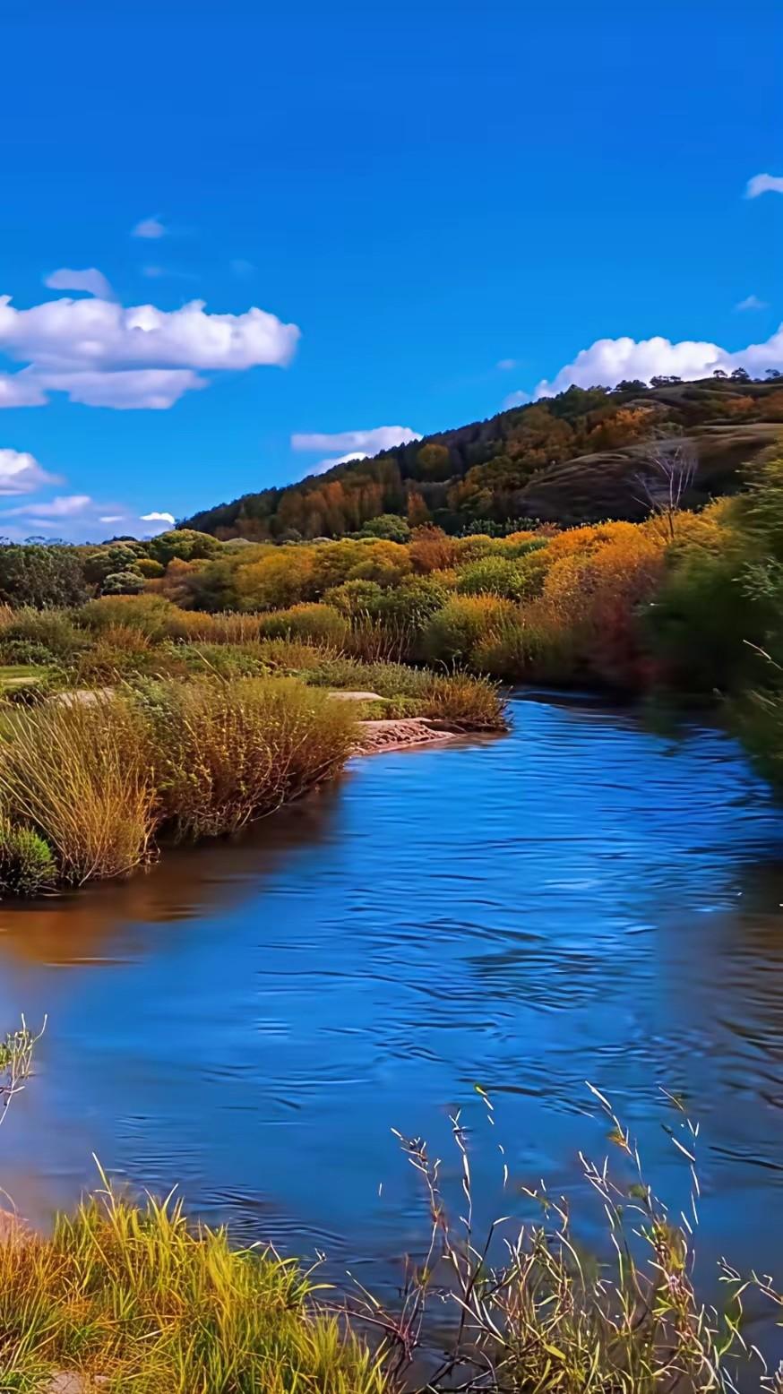 中日关系又紧张了
最近不太平，中日关系又出事了，日本外务省的人来中国了，说是要谈