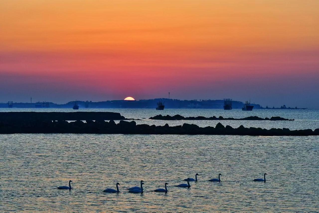 给2026的自己写句话希望开心快乐每一天。让自己的每一天都是快乐的。