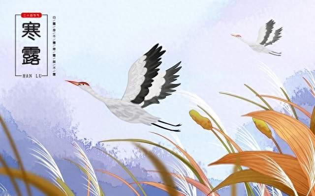 寒露时节养生注意这5点