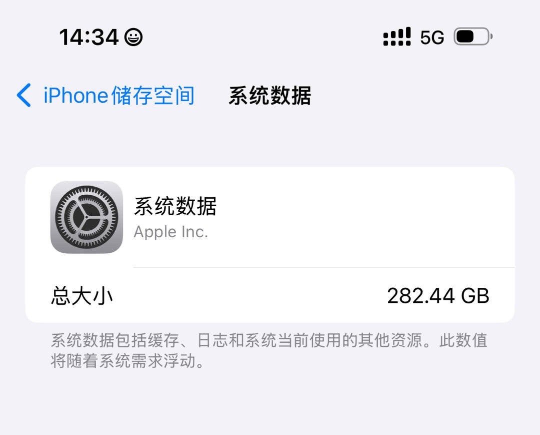 我怎么看微博上没什么人遇到iOS18这个系统数据疯涨的bug，隔壁小红那里倒是看