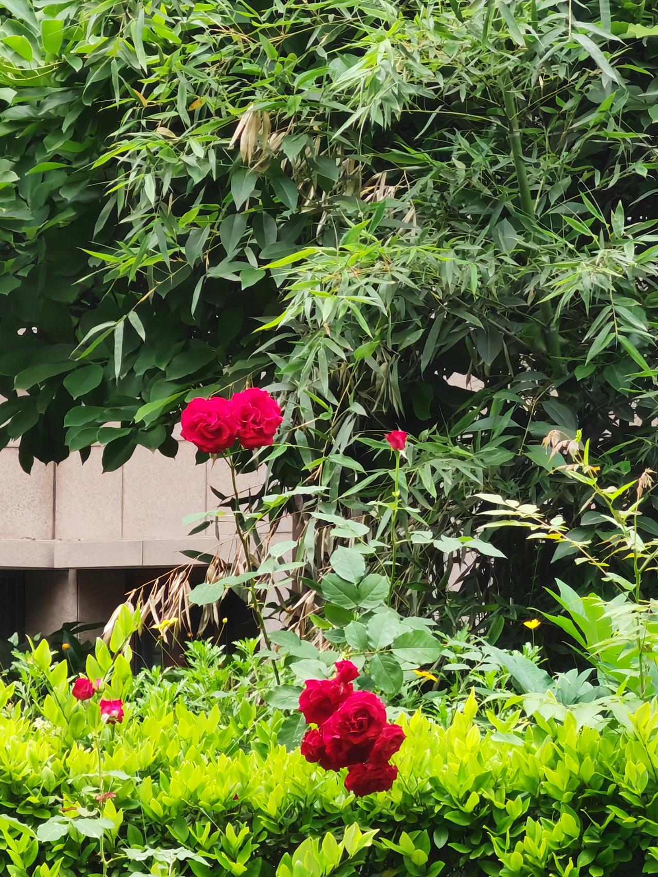 以前，对于人们说的体制内的人严谨教条，甚至于有的人说的是“拿架子”，我还认为这种