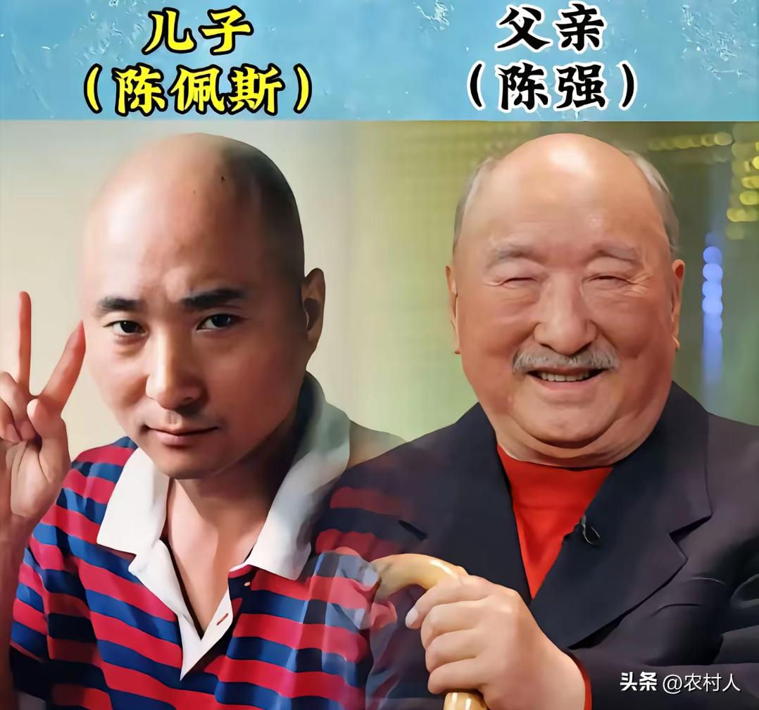 儿子比父亲名气大的明星父子，你们都认可吗？
陈佩斯 刘恺威