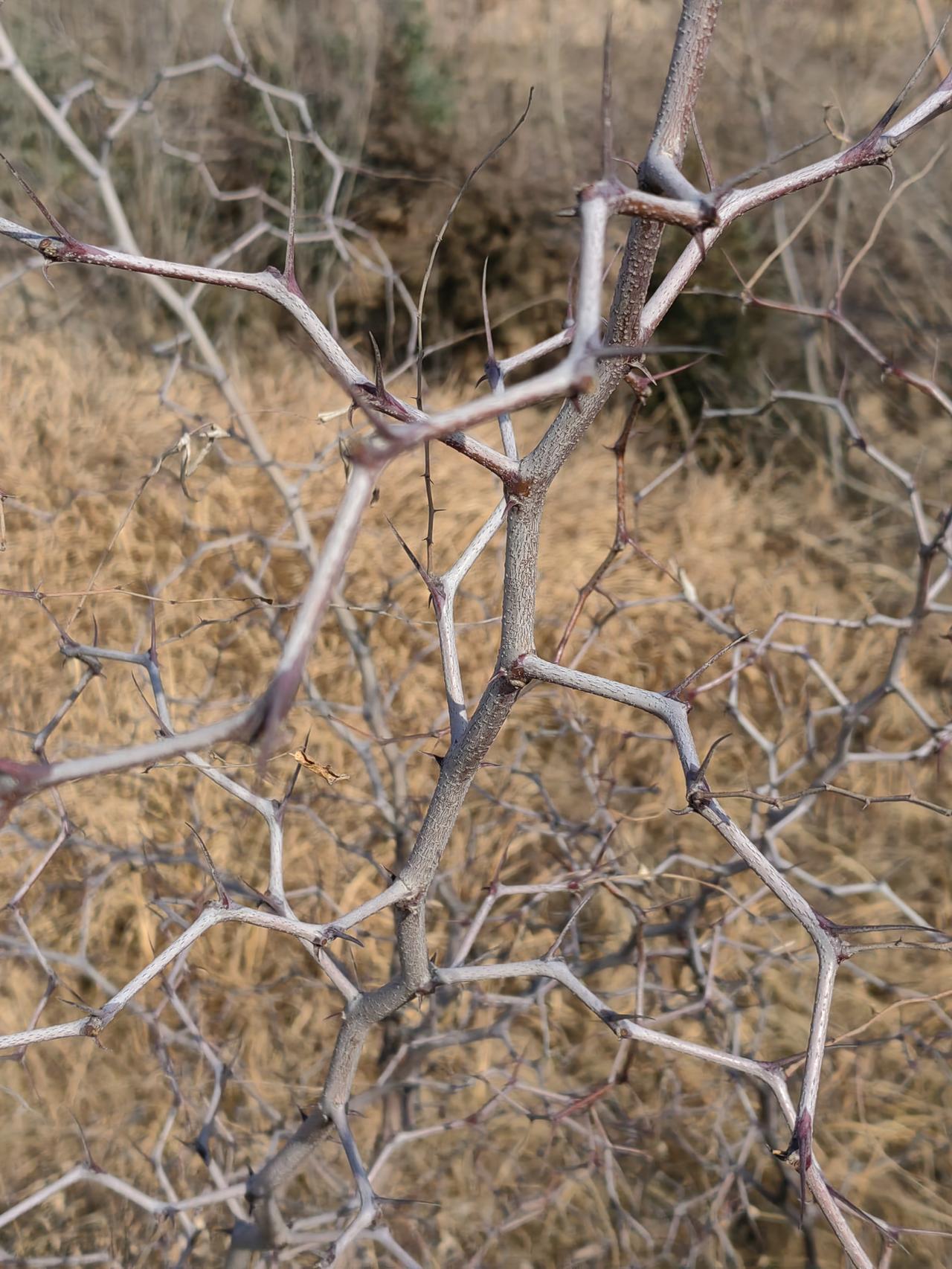 一家人商量事千万不能急，急了必然吵架，吵架必然只发脾气、不再讲理，情绪之下除了伤